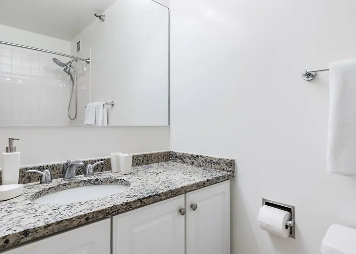 Apartment River N 2br W Gym Wd Nr Magnificent Mile Chi-160 Chicago